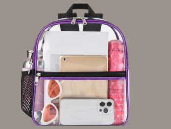 Clear & Security-Friendly Compact Backpack